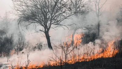 Diyarbakır’ın Dicle ilçesinde aniden başlayan ve kısa sürede geniş bir