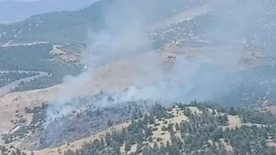 Kahramanmaraş’ın Türkoğlu ilçesinde yeşil alanı tehdit eden orman yangınına karşı