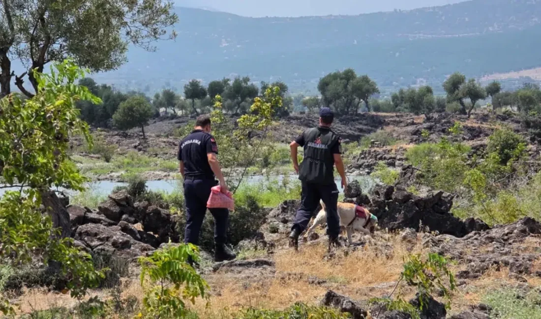 Hatay’ın Hassa ilçesinde hayvanlarını otlatmak için evinden ayrılan 46 yaşındaki