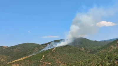 Balıkesir’in Burhaniye ilçesinde başlayan ve hem ormanlık alanı hem de
