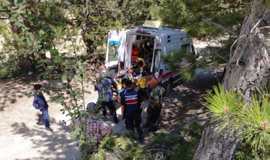 Bolu’nun Mudurnu ilçesinde geri manevra yapan bir traktörün sarsılması sonucu