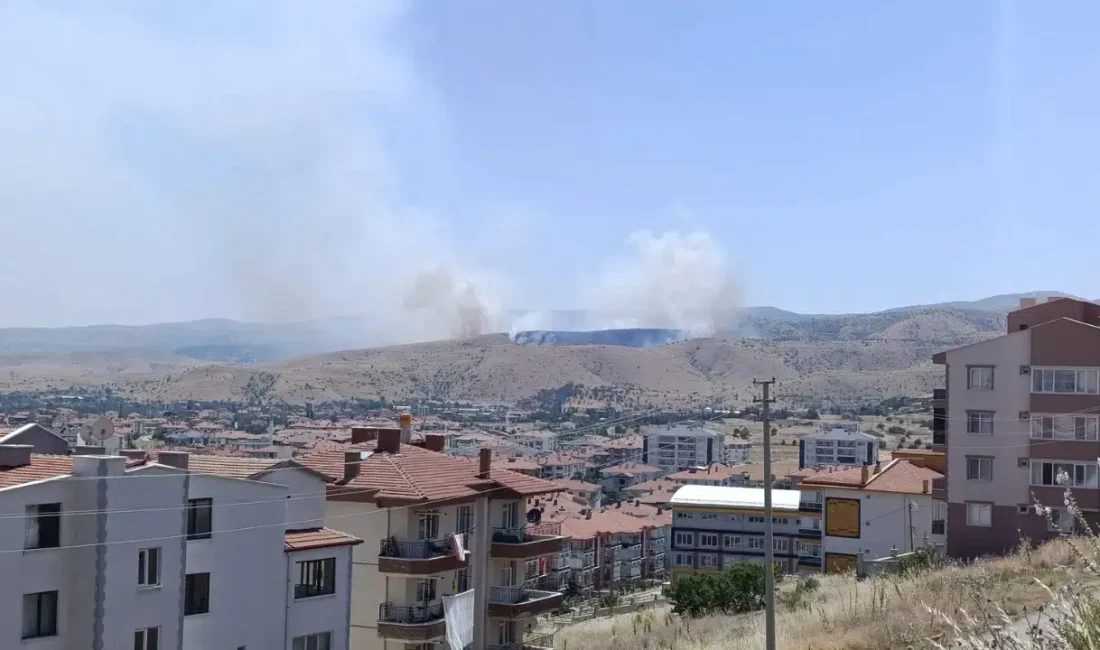 Afyonkarahisar’ın Büyük Kalecik beldesi yakınlarında başlayan otluk alan yangını bölgede