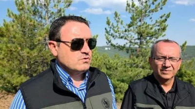 Kütahya’nın Tavşanlı ilçesinde başlayan ve rüzgarın etkisiyle hızla yayılan orman