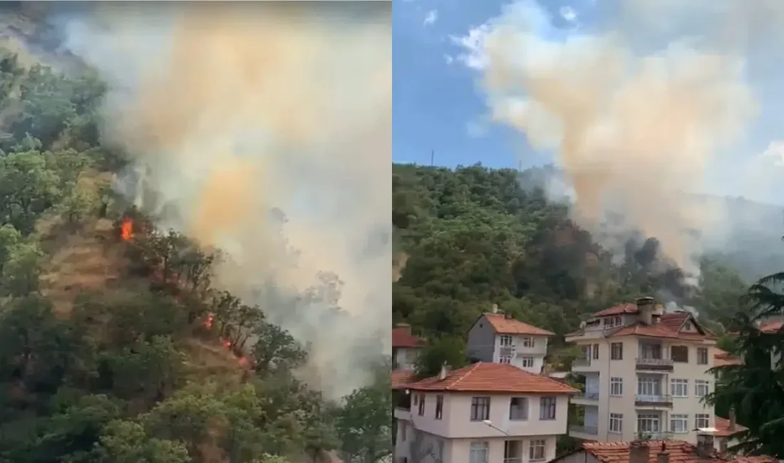 Kastamonu’nun Tosya ilçesinde aniden yükselen alevler ormanlık alanı adeta esir