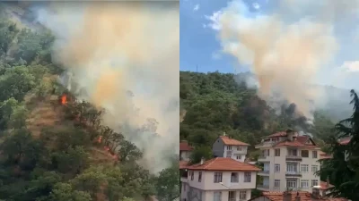 Kastamonu’nun Tosya ilçesinde aniden yükselen alevler ormanlık alanı adeta esir