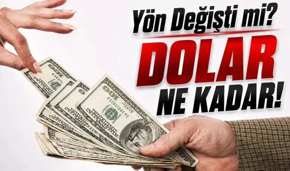 Döviz piyasasında son günlerde yaşanan hareketlilik yatırımcıların kafasını karıştırırken akıllara