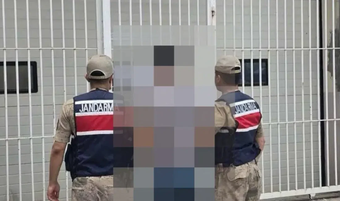 Şanlıurfa’nın Haliliye ilçesinde jandarma ekiplerinin gerçekleştirdiği titiz operasyon, uzun süredir
