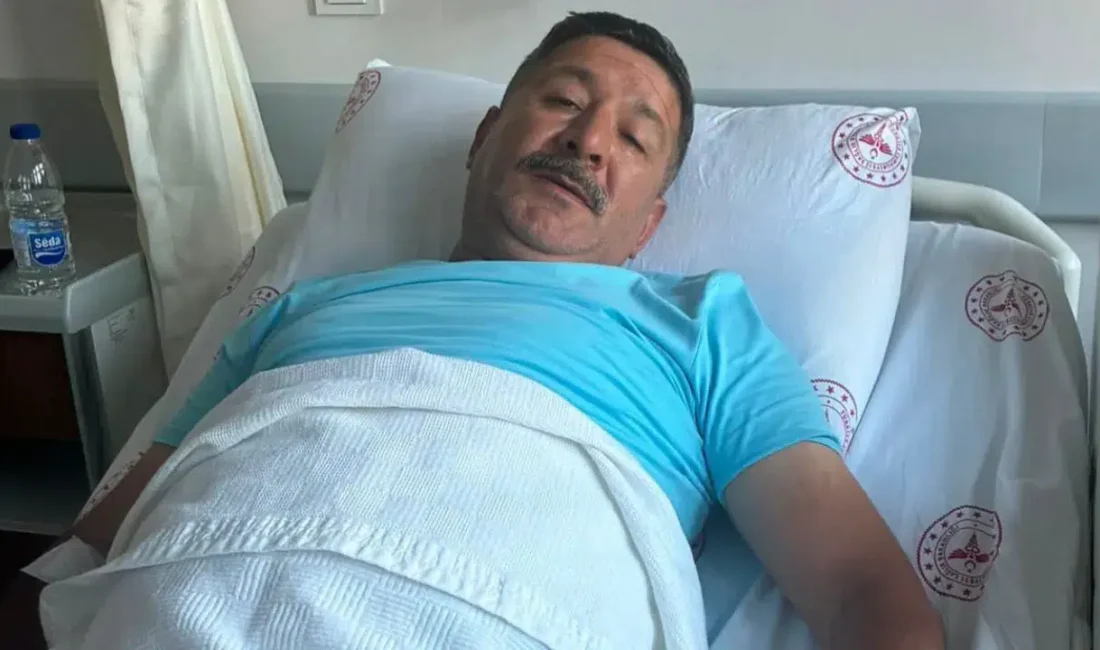 Zonguldak’ın Alaplı ilçesinde evinin bahçesindeki otları temizlemek isteyen Kamil Kaçar,