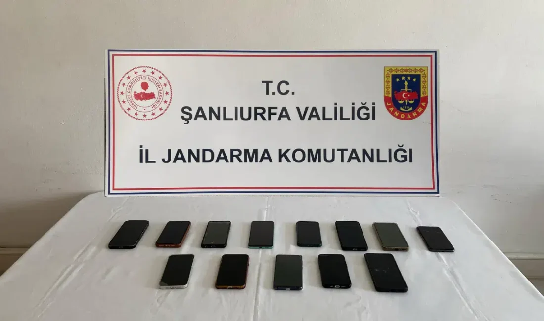 Şanlıurfa’da düzenlenen operasyonda, başkalarının yerine motorlu taşıtlar sınavına giren ve