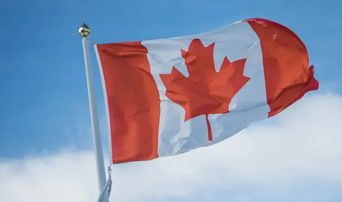 Kanada’nın Toronto kentinde düzenlenen coşkulu bir sokak festivalinin hemen yakınında