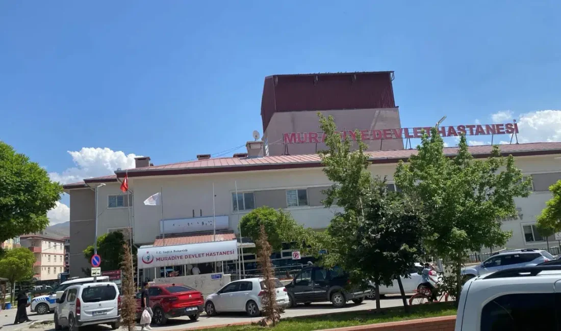 Van’ın Muradiye ilçesinde iki aile arasında arazi üzerindeki otlar yüzünden