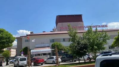 Van’ın Muradiye ilçesinde iki aile arasında arazi üzerindeki otlar yüzünden