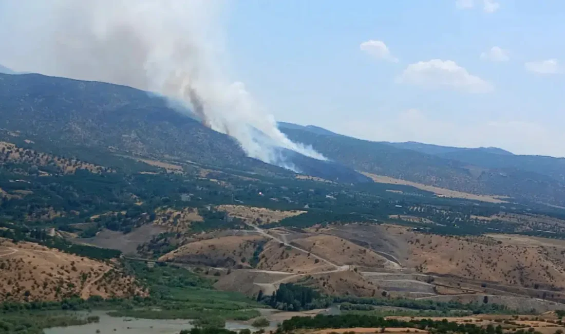 Malatya’nın Pütürge ilçesinde başlayan ve rüzgarın da etkisiyle kısa sürede