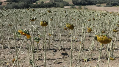 Tekirdağ’ın Süleymanpaşa ilçesinde dün aniden bastıran ve hayatı adeta durma