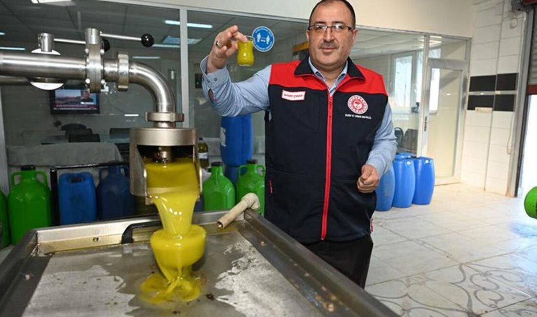 Kayseri’de kadın kooperatiflerinin tam 10 yıl önce keşfederek toprakla buluşturduğu
