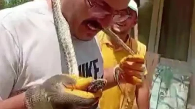 Amasya’nın Taşova ilçesinde bir köy evinde yaşanan yılan paniği, olay
