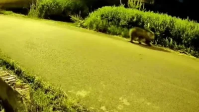 Sivas’ın Yıldızeli ilçesinde gece yarısı yaşanan hareketli dakikalar güvenlik kameralarına